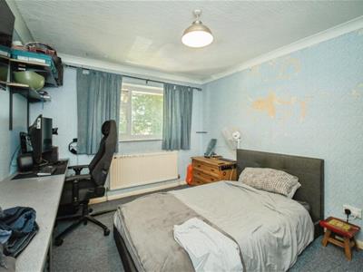 Picture 12